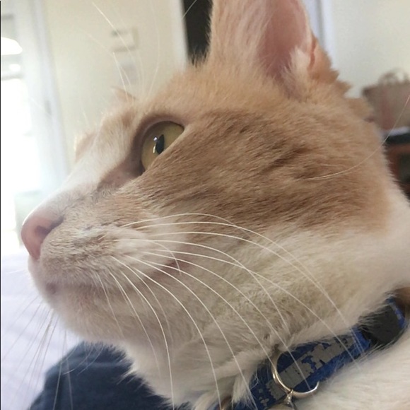 Meet your Posher, Mark - Picture 1 of 1